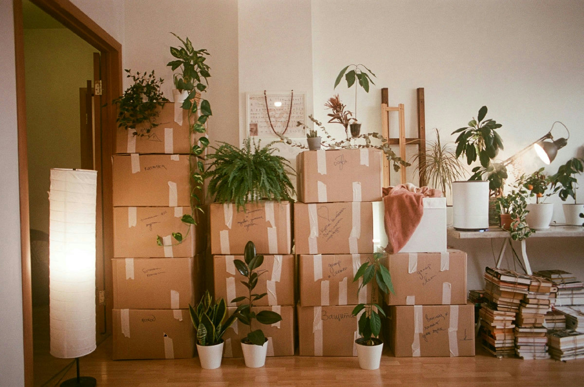 What You Actually Need to Know Before Hiring a Mover