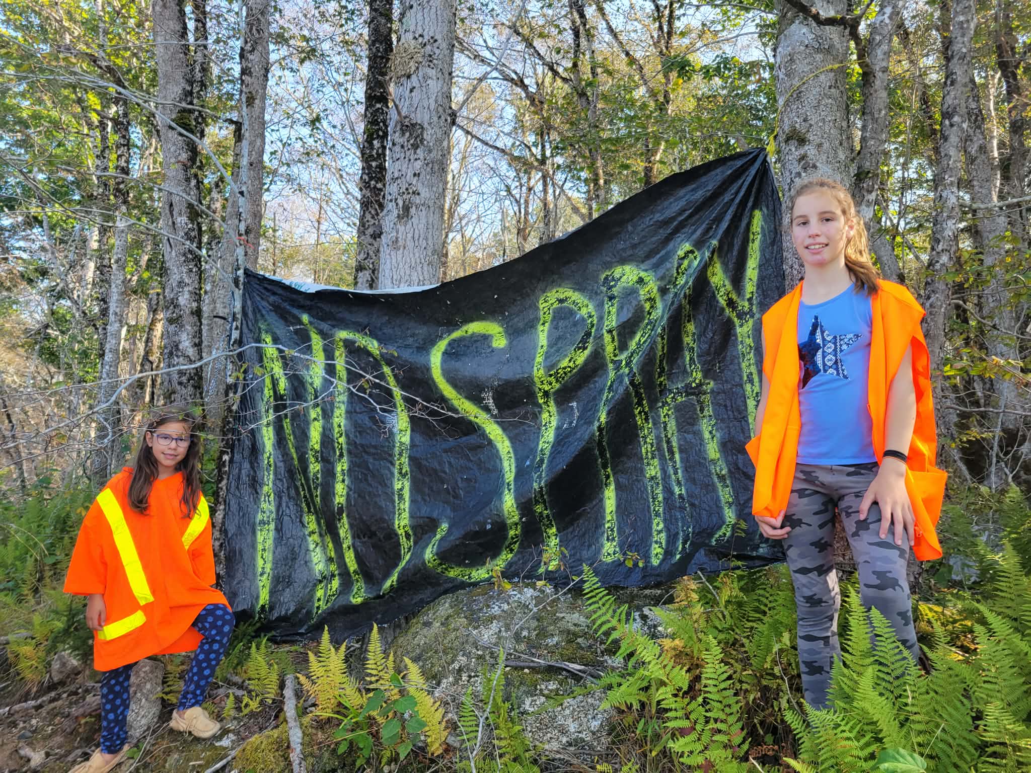 Every September, Someone Sprays: What to Know About Glyphosate Before You Buy Land in Nova Scotia